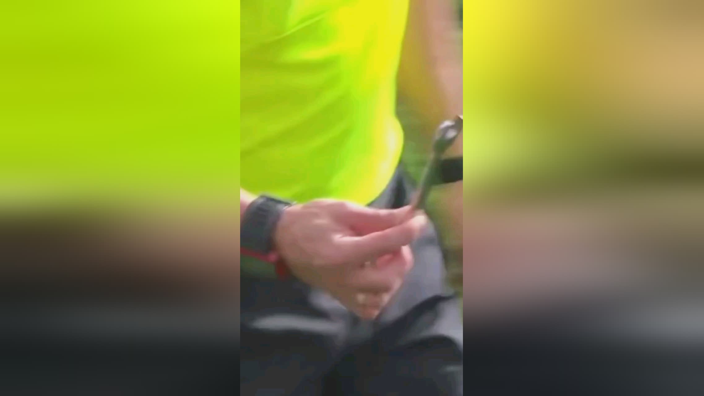 了大量体育